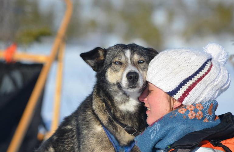 Escursione di mushing a Koppera vicino a Trondheim